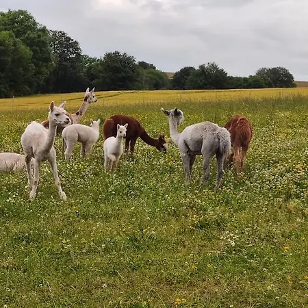 公寓 Erlebnisfarm John *